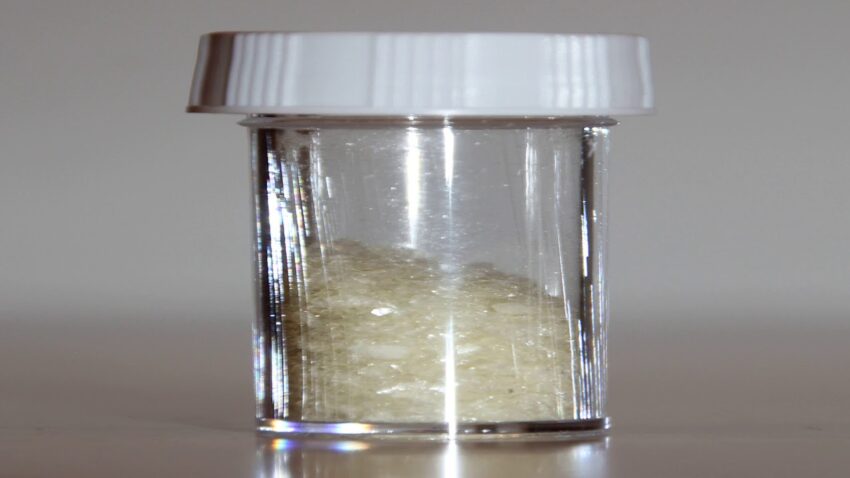 South Korea Bovine Serum Albumin