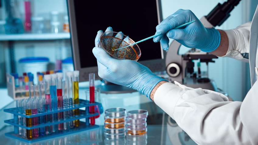 Genetic Toxicology Testing Market