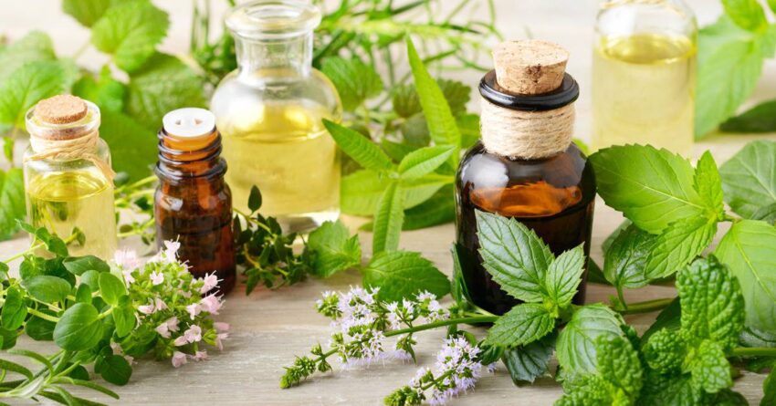 Honeysuckle Essential Oil Market