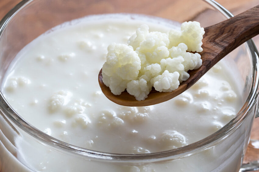 Kefir Market