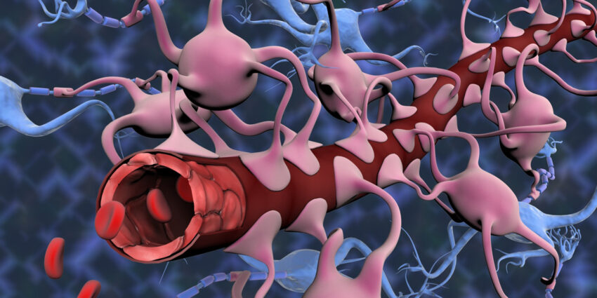 Blood Brain Barrier