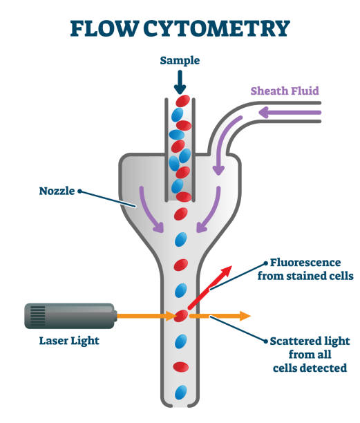 Cell Cytometry