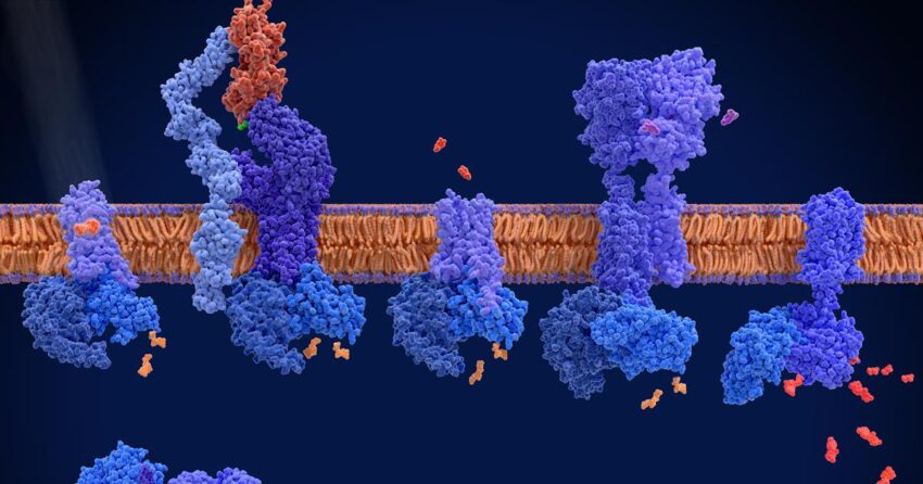 Global DNA Encoded Library